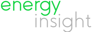 Partner Energy Insight UG (haftungsbeschränkt) Logo
